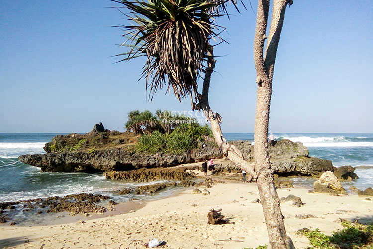 Aktivitas Pantai Watu Bolong