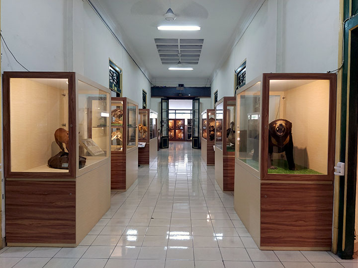 Museum Biologi UGM