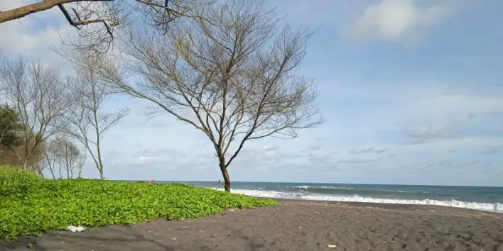 pantai pandansimo