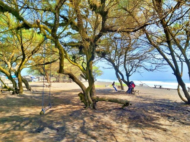 Daya Tarik Pantai Mlarangan Asri