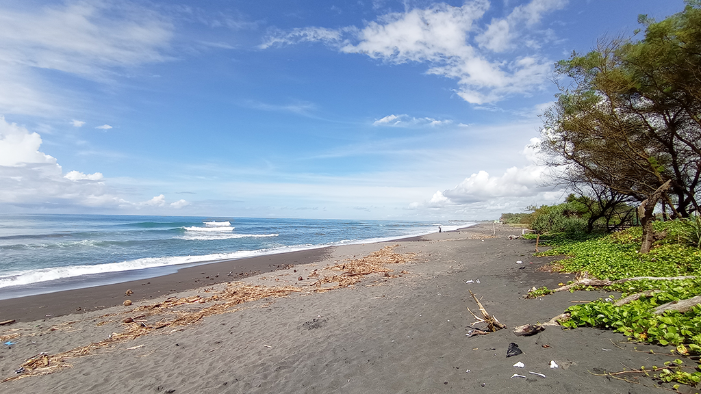 pantai trisik