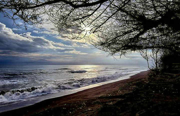 pantai trisik kulon progo