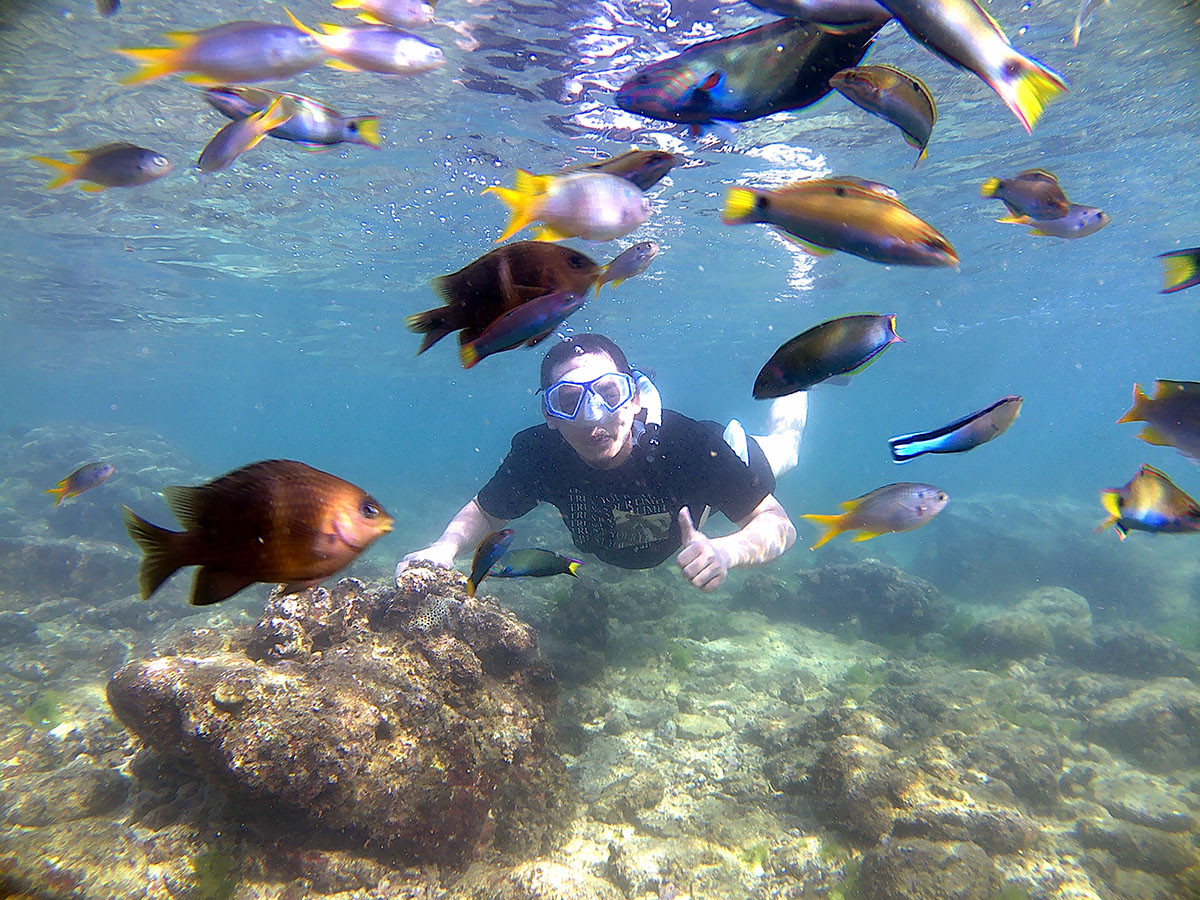 pantai yang bisa snorkeling di Gunung Kidul Jogja harga murah